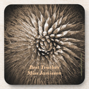 Personalised Name Best Teacher Agave Sepia Coaster