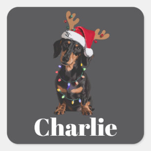 Personalised Name Christmas Dachshund Dog Lights Square Sticker