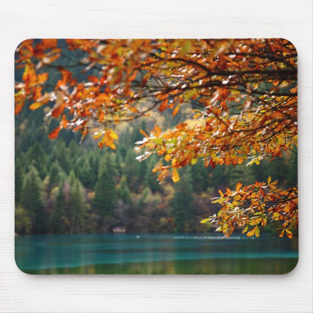 Personalised Nature Photo Modern  Mouse Pad (Front)
