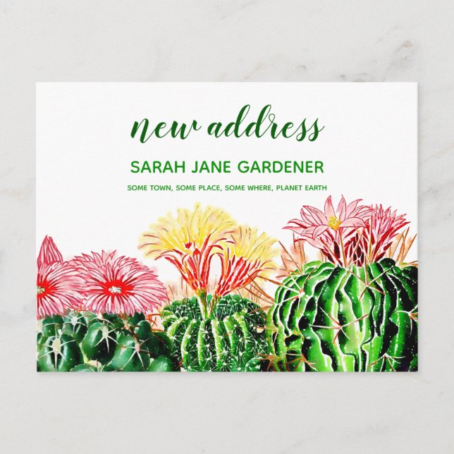 Personalised New Address Cactus Succulent Plant Postcard (Front)