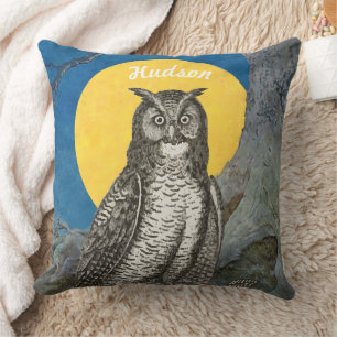 Personalised New Baby Boy's Room Cute Owl Cushion