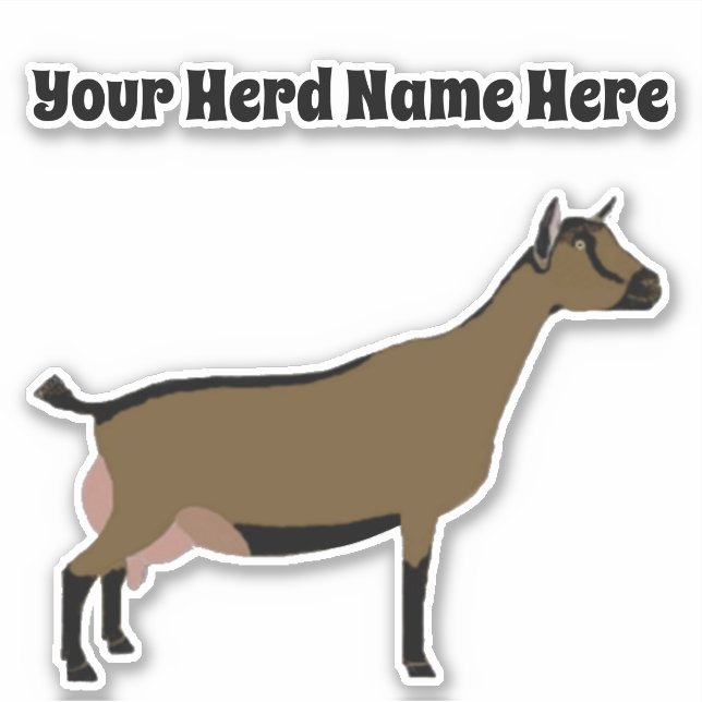Personalised Nigerian Dwarf Dairy Goat (Front)