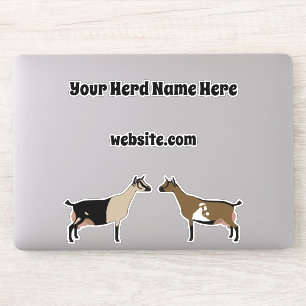 Personalised Nigerian Dwarf Dairy Goat