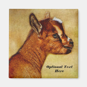 Personalised Nigerian Dwarf Dairy Goat Kid Magnet