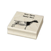 Personalised Nigerian Dwarf Dairy Goat