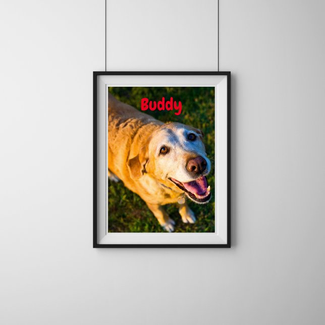 Personalised Older Dog memorial Photo Poster (Creator Uploaded)