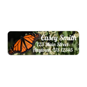 Personalised Orange Monarch Butterfly Nature Photo