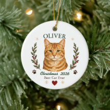 Personalised Orange Tabby Cat Christmas