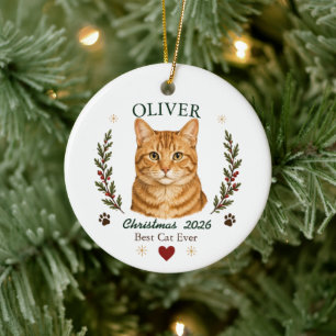 Personalised Orange Tabby Cat Christmas Ceramic Tree Decoration