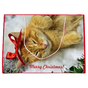 Personalised Orange Tabby Cat Christmas Large Gift Bag