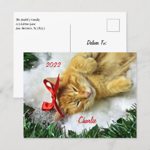 Personalised Orange Tabby Cat Christmas Postcard