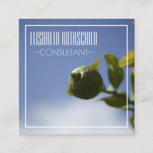 Personalised Organic Lemon Lime Business Card