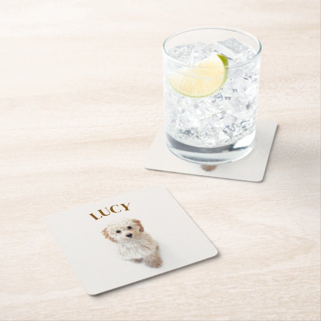 Personalised Paper Coasters – Dog Photo & Name (Insitu)