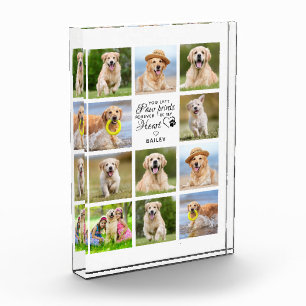Personalised Paw Prints My Heart Pet Memorial Phot Photo Block