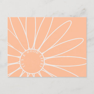 Personalised Peach Fuzz Daisy Flower Postcard