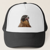 Personalised Peregrine Falcon