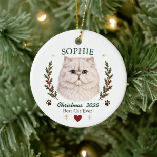 Personalised Persian Cat Christmas Ceramic Tree Decoration