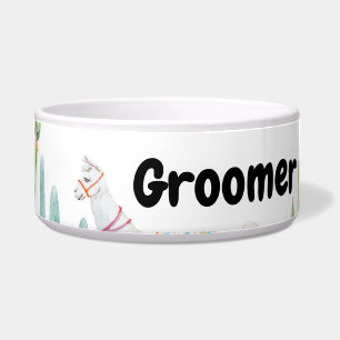 Personalised Pet Bowls Boho Llama Bohemian Cacti D