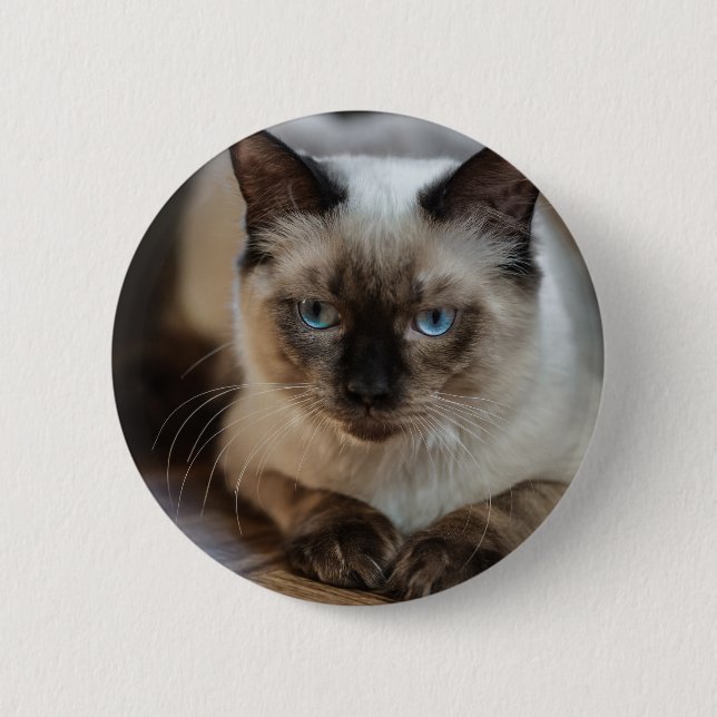 Personalised Pet Cat Image Add Your Own Photo 6 Cm Round Badge (Front)