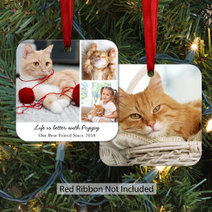 Personalised Pet Cat Photo Collage Metal Tree Decoration