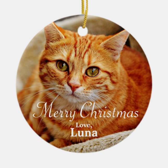 Personalised Pet Christmas Holiday Photo Ceramic Tree Decoration (Front)