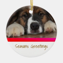 Personalised Pet Christmas Ornament
