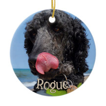 Personalised Pet Christmas Ornament
