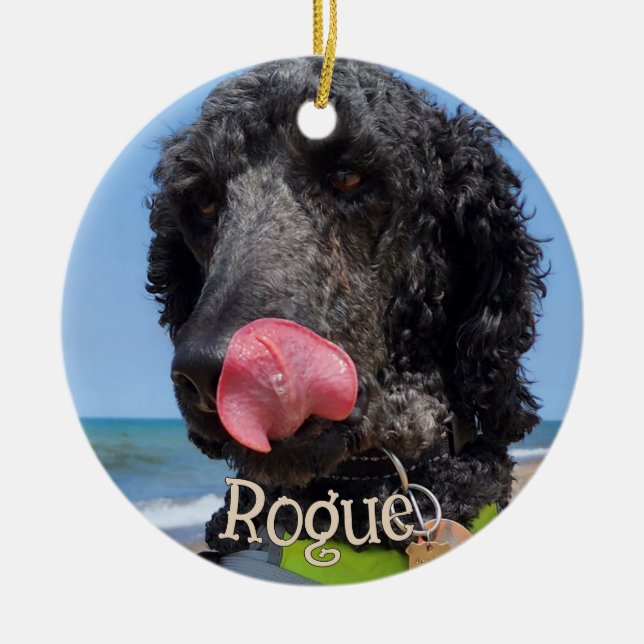 Personalised Pet Christmas Ornament (Front)