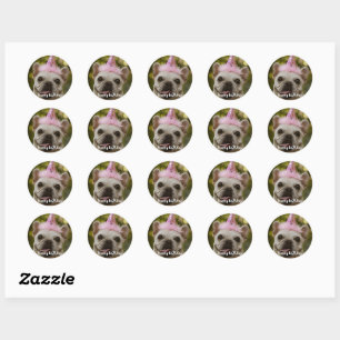  Personalised pet dog birthday  Classic Round Sticker