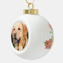 Personalised Pet  Dog Photo