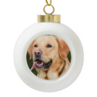 Personalised Pet  Dog Photo