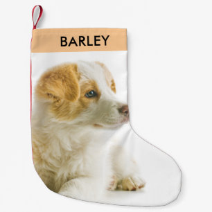 Personalised Pet Dog Photo Festive Holiday Cute Small Christmas Stocking