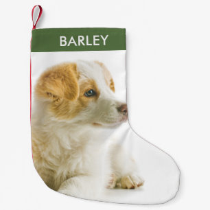 Personalised Pet Dog Photo Festive Holiday Cute  Small Christmas Stocking