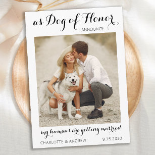 Personalised Pet Dog Photo Modern Script Wedding Save The Date