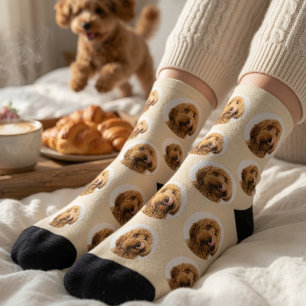 Personalised Pet Face Socks Custom Dog Photo