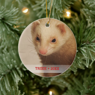 Personalised Pet Ferret Photo Name Christmas Tree Ceramic Tree Decoration