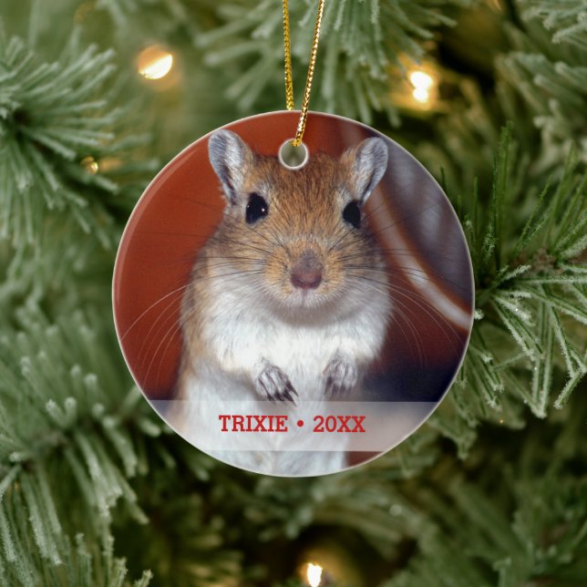 Personalised Pet Gerbil Photo Name Christmas Tree Ceramic Tree Decoration (Tree)