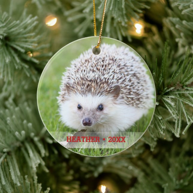 Personalised Pet Hedgehog Photo Christmas Tree Ceramic Tree Decoration (Tree)