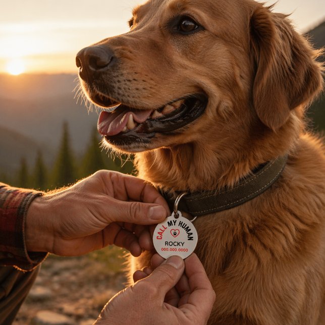 Personalised Pet ID Tag with Phone Number (Personalized Pet Dog Id to help when your dog is lost. Includes name and contact number. )