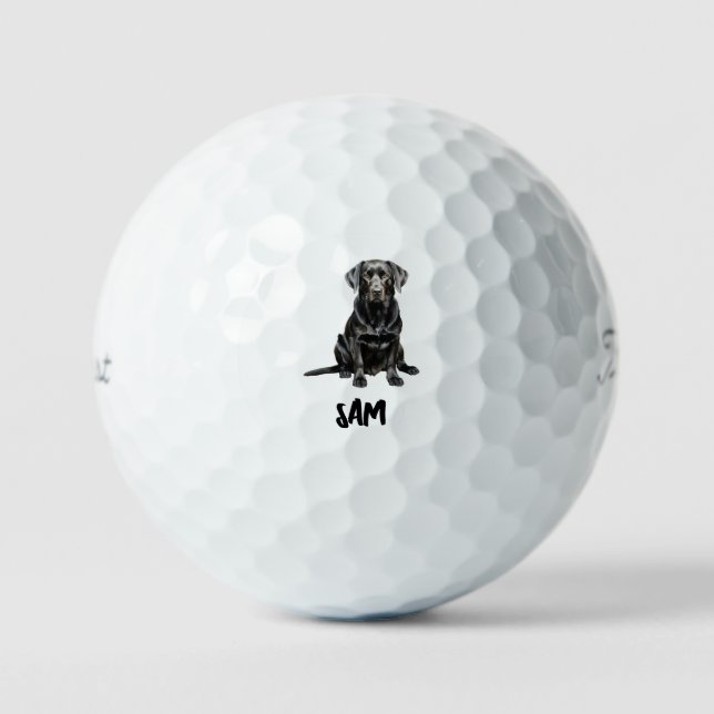 Personalised Pet Image Name Titleist Pro V1 II Golf Balls (Front)