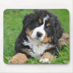 Personalised Pet Lover Dog Photo Mouse Pad