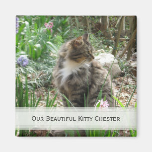 Personalised Pet Magnets: Add Your Picture Magnet
