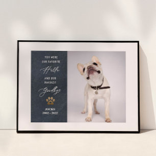 Personalised Pet Memorial Pet Loss Photo Collage Poster