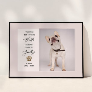 Personalised Pet Memorial Pet Loss Photo Collage Poster
