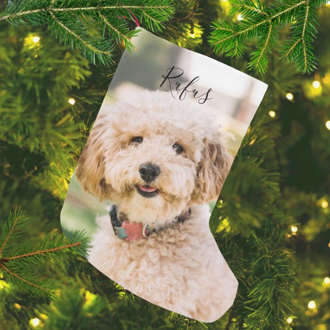 Personalised Pet Name and Photo Small Christmas Stocking (Personalized Pet Name and Photo Small Christmas Stocking)