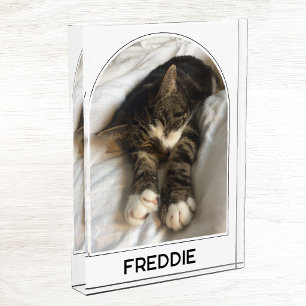 Personalised Pet Name Modern Arch Photo Block