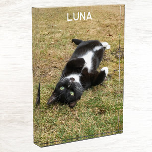 Personalised Pet Name Modern Photo Block