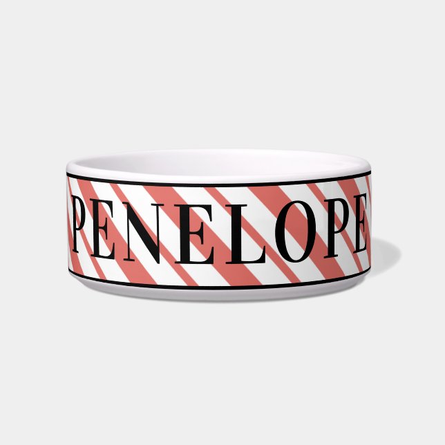 Personalised Pet Name Stripes Dog Bowl (Front)