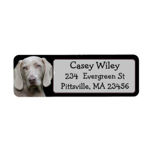 Personalised Pet or  Dog Address Label
