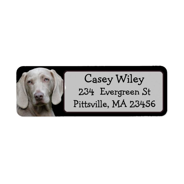 Personalised Pet or  Dog Address Label (Front)